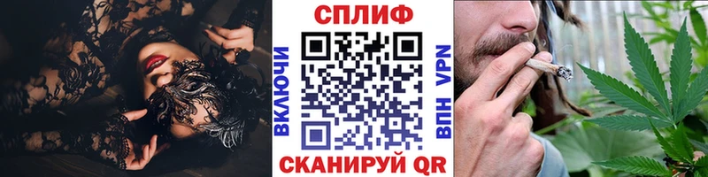 Каннабис конопля  Староминская 